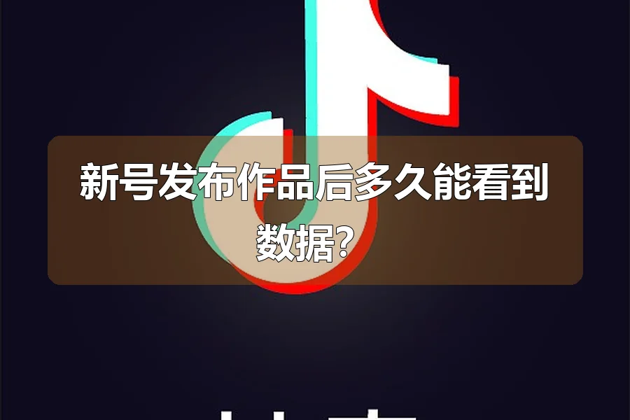 新号发布作品后多久能看到数据?
